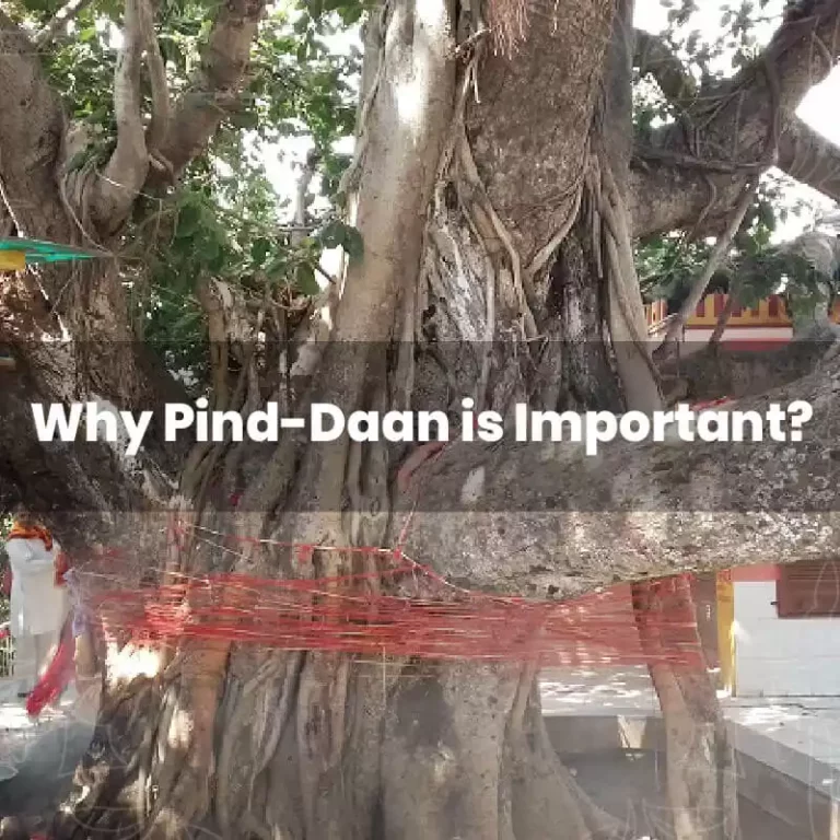 Pind Daan in Gaya — priest performing ancestral rites at Vishnupad Temple