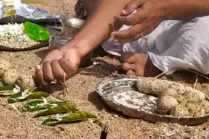 Pind daan in usa