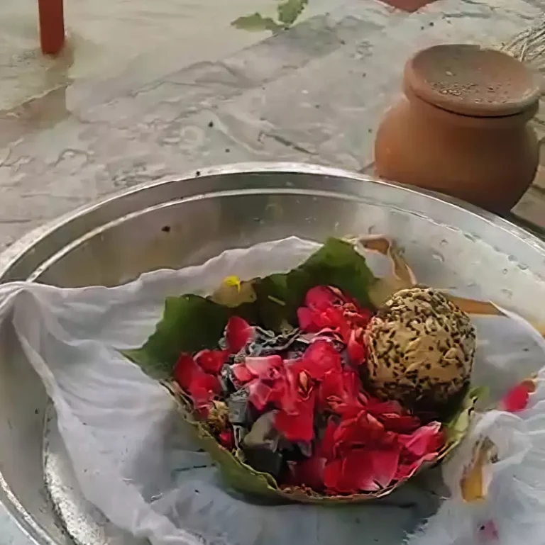 Pind Daan at Haridwar (5 Pandits Brahmin Bhoj)