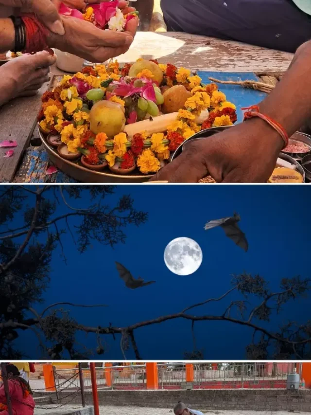 Purnima Shradh Pitrupaksha 2024 Prayag Pandits