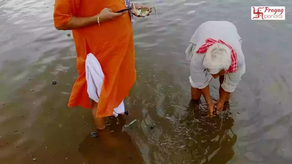 When is the best time to perform Tarpan in Gaya?