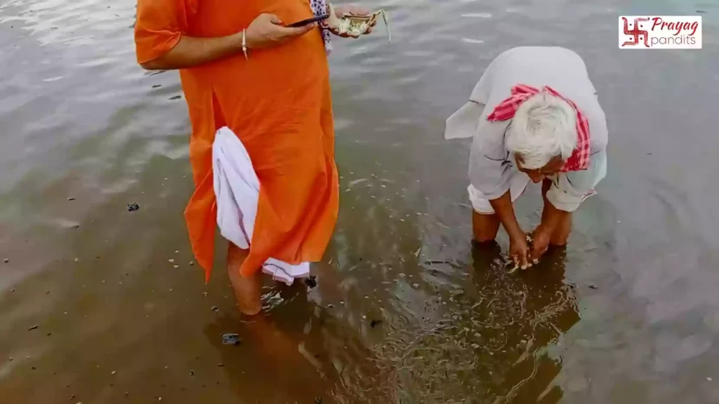 Can Tarpan be performed in Gaya throughout the year?