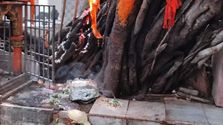Photo showing Pindas sitting at the foot of Akshayavat tree in Gaya