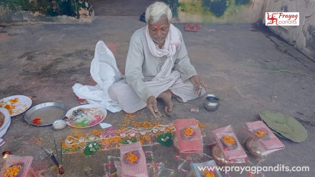 What is the main purpose of performing Narayan Bali in Gaya?