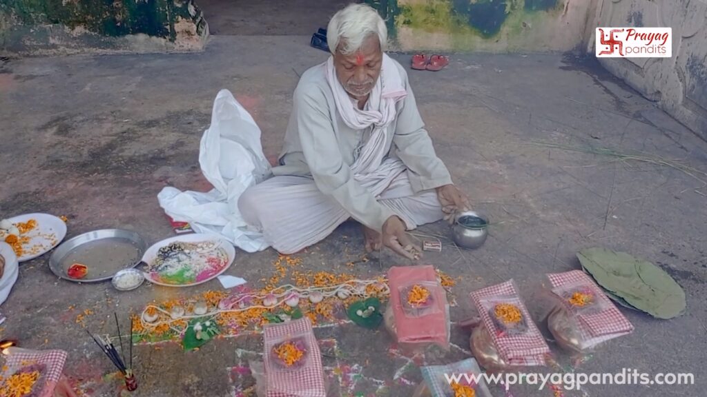 When is Narayan Bali Puja performed in Gaya?