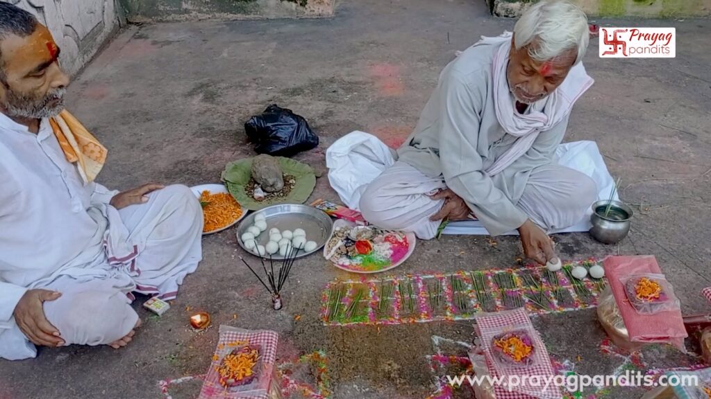 What is the procedure or Vidhi for Narayan Bali Puja in Gaya?