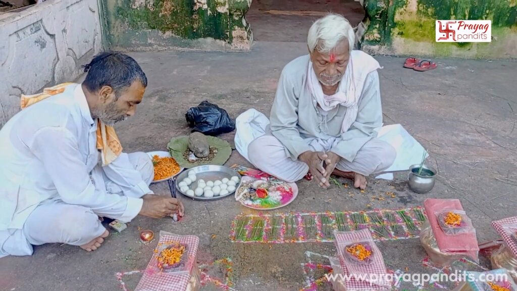 Can Narayan Bali Puja be performed online from Gaya?