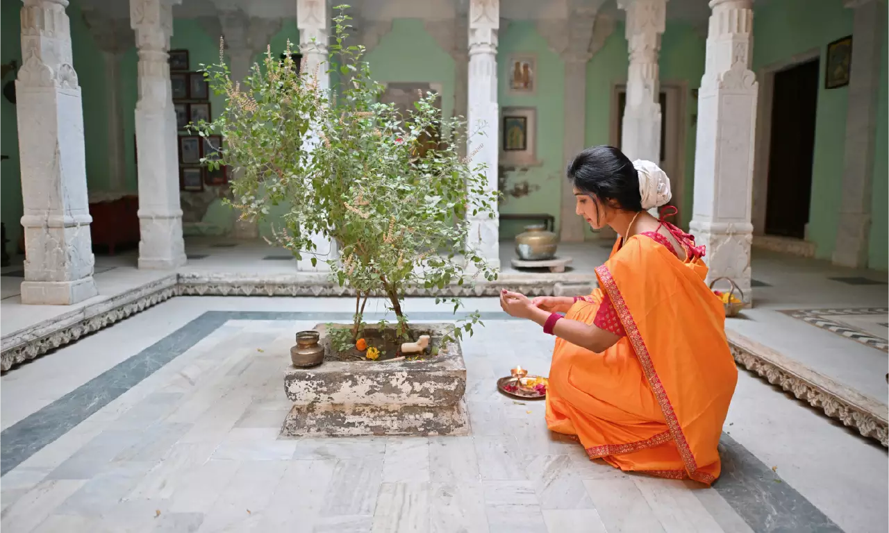 woman dressed in a traditional orange saree performing a Tulsi puja (worship) in a courtyard. She is sitting near a Tulsi (holy basil) plant, offering prayers with a diya (lamp) and pooja thali, symbolizing devotion and Indian cultural tradition. Kartik-Poornima