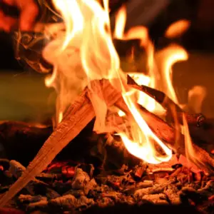 Online Tulsi Vivah Package 2026