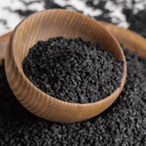 Tila Daan at Magh Mela 2026