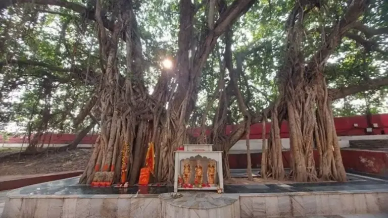 Online Daan & Puja at Magh Mela