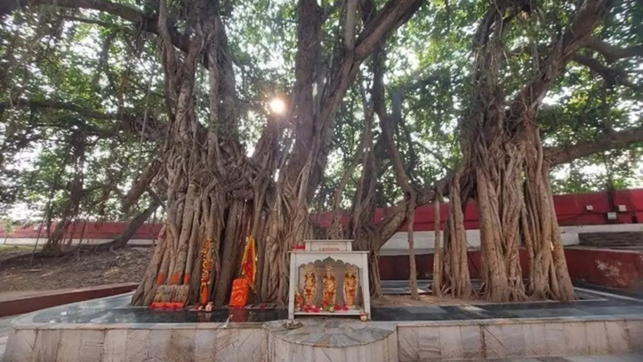 Online Daan & Puja at Magh Mela