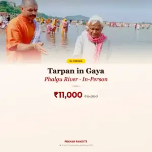 Tarpan in Gaya