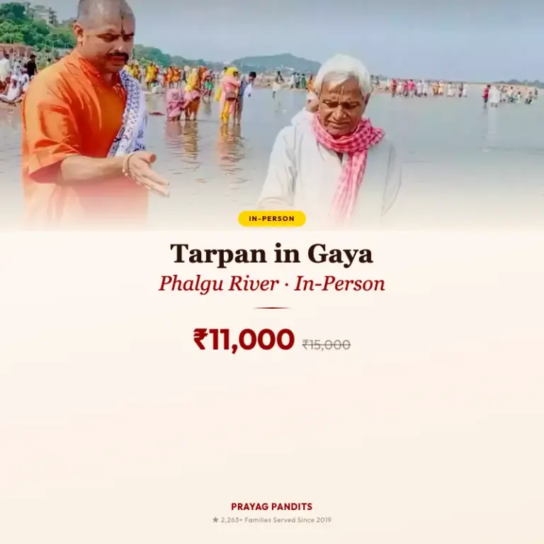 Tarpan in Gaya