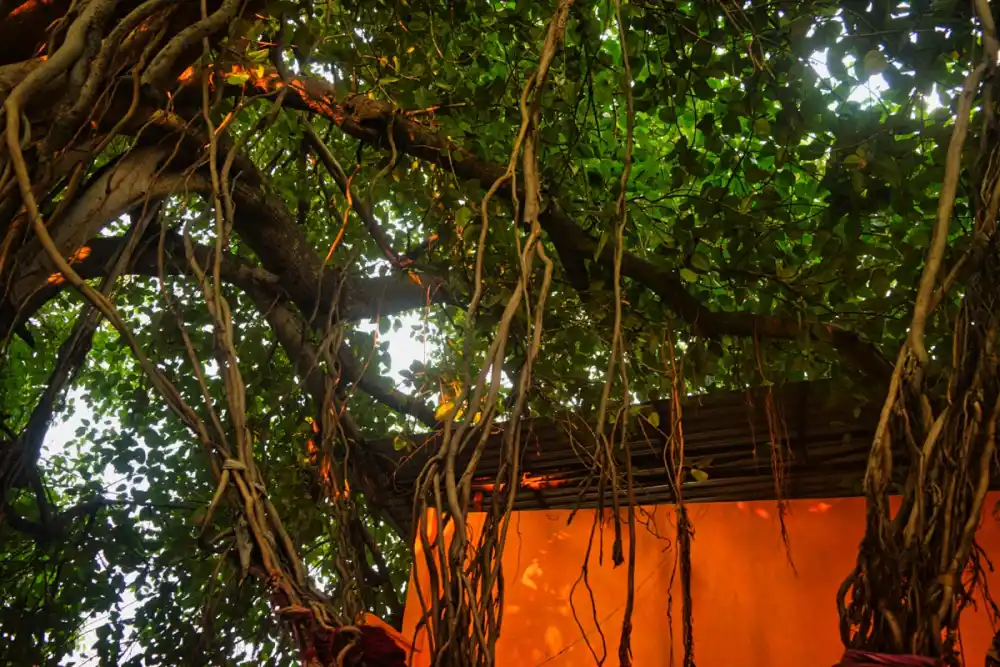 Havan fire ritual during Kaal Sarp Dosh Nivaran Puja