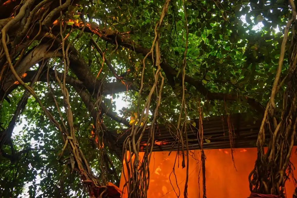 Havan ritual performed for Pitra Dosh Nivaran at sacred teerth