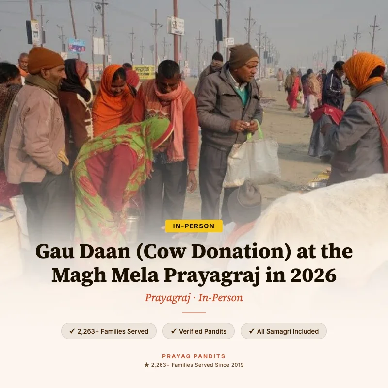 Gau Daan (Cow Donation) at the Magh Mela Prayagraj in 2026